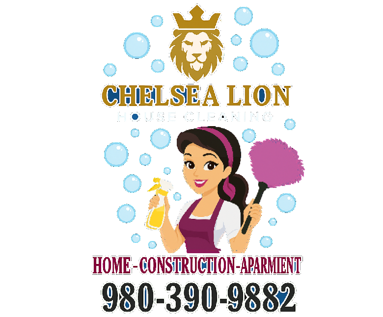 Professional cleaning service